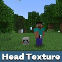 Head Texture Pack for Minecraft PE