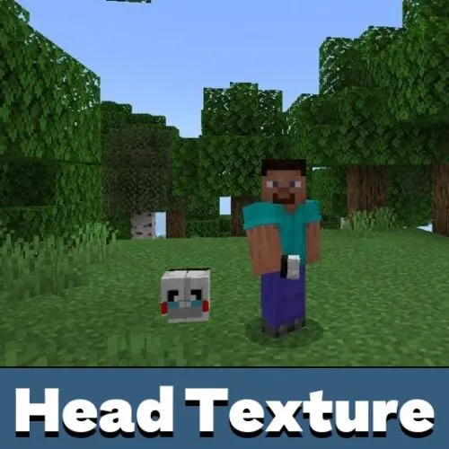 Head Texture Pack for Minecraft PE