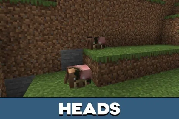 Heads from Disciples of the Void Mod for Minecraft PE