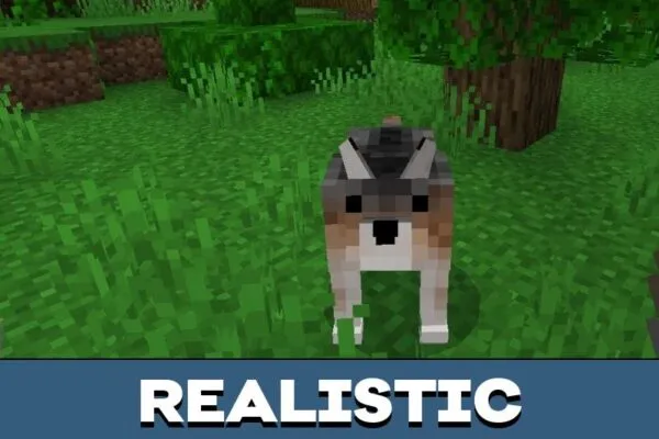 Realistic Dog Texture Pack for Minecraft PE