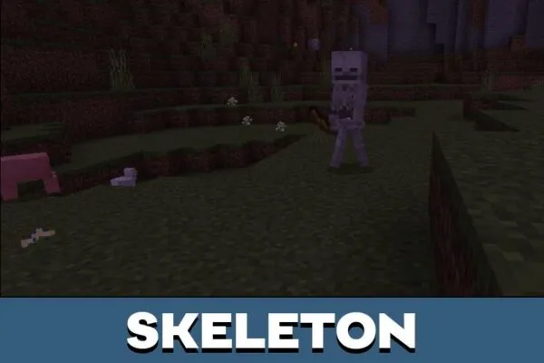 Skeleton from Night Vision Shader for Minecraft PE