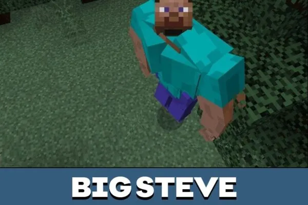 Steve from Human Texture Pack for Minecraft PE