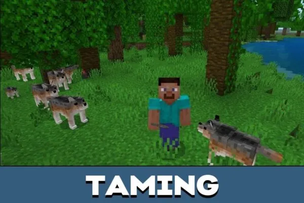 Taming from Dog Texture Pack for Minecraft PE