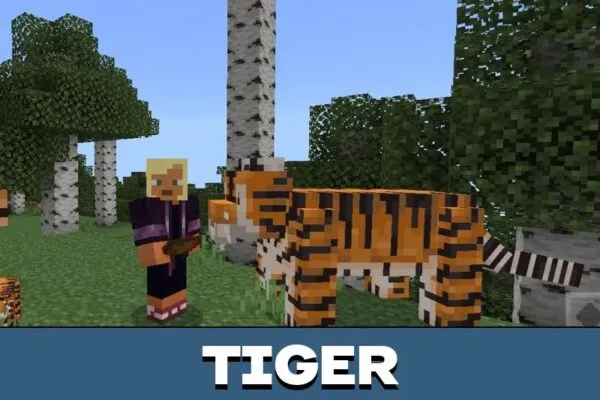 Tiger from Safari Animals for Minecraft PE