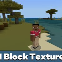 One Block Texture Pack for Minecraft PE