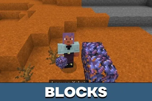 Blocks from Raccoon Mod for Minecraft PE