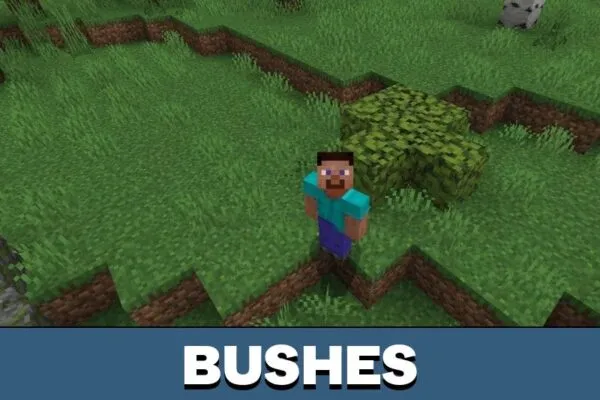 Bushes from Wild Environment Mod for Minecraft PE