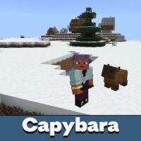 Capybara Mod for Minecraft PE