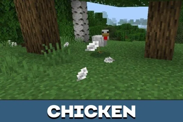 Chicken from Particles Texture Pack for Minecraft PE