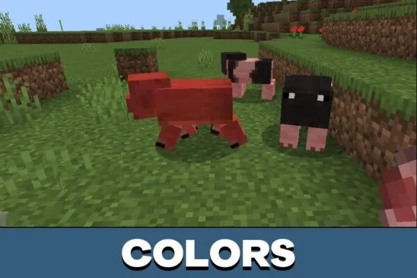 Colors from Pig Mod for Minecraft PE