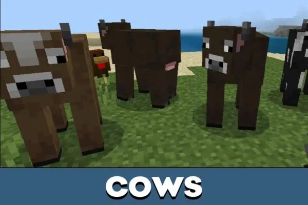 Cows from Pig Mod for Minecraft PE