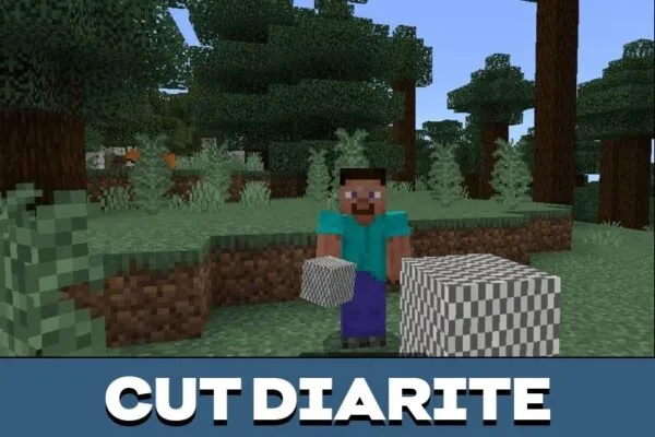 Cut Diarite from Party Craft Mod for Minecraft PE