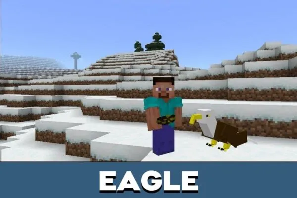 Eagle from Mole Mod for Minecraft PE