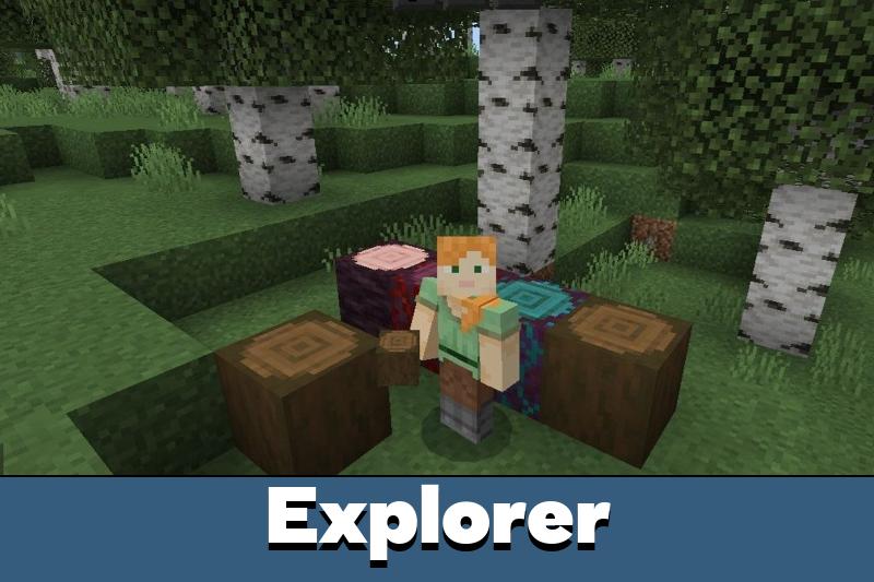 minecraft explorers pack