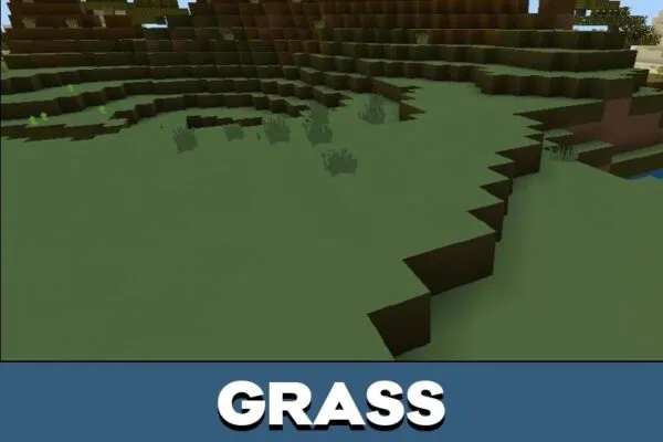 Grass from One Block Texture for Minecraft PE