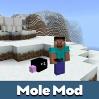 Mole Mod for Minecraft PE