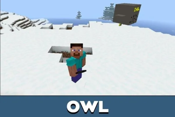 Owl from Mole Mod for Minecraft PE