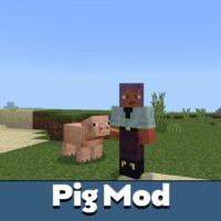 Pig Mod for Minecraft PE