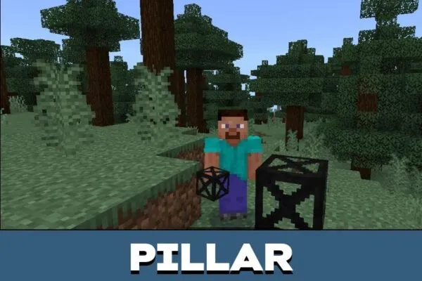 Pillar from Party Craft Mod for Minecraft PE