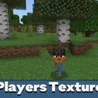 Players Texture Pack for Minecraft PE