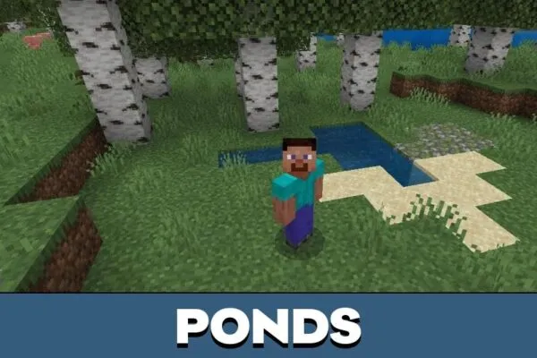 Ponds from Wild Environment Mod for Minecraft PE