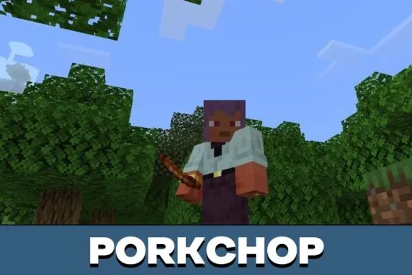 Porkchop from Food Texture Pack for Minecraft PE