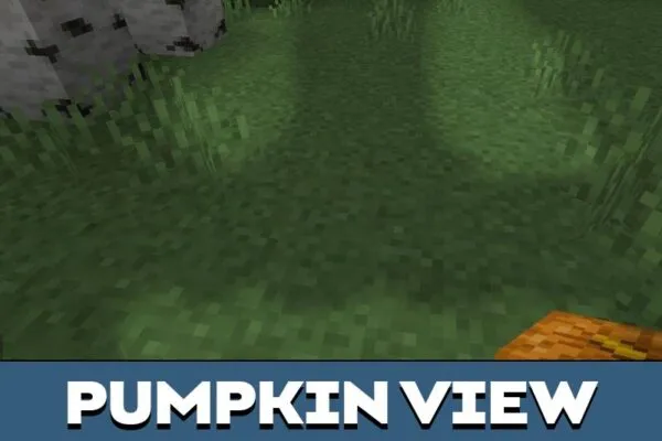 Pumpkin from Explorer Texture Pack for Minecraft PE