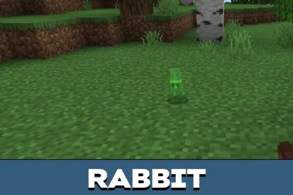 Rabbit from Damage Texture Pack for Minecraft PE