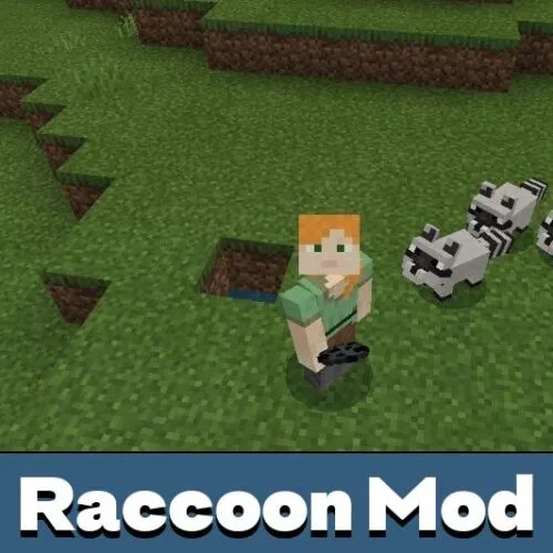 Raccoon Mod for Minecraft PE