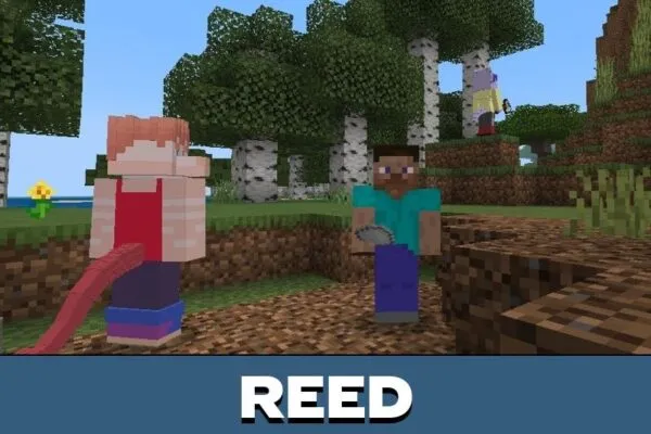 Reed from Snoot Craft Mod for Minecraft PE