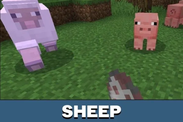 Sheep from Damage Texture Pack for Minecraft PE