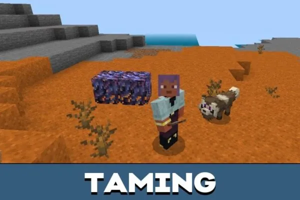 Taming from Raccoon Mod for Minecraft PE