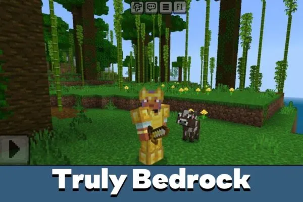 Truly Bedrock from Reimagined Items Mod for Minecraft PE