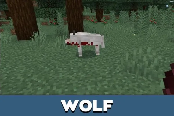 Wolf from Cordyceps Mod for Minecraft PE