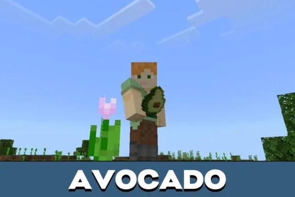 Avocado from City Survival Mod for Minecraft PE