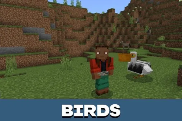 Birds from Palm Tree Mod for Minecraft PE