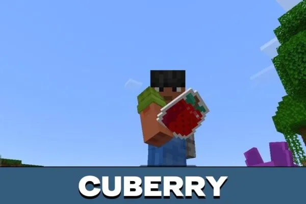 Cuberry from Slime Rancher Mod for Minecraft PE