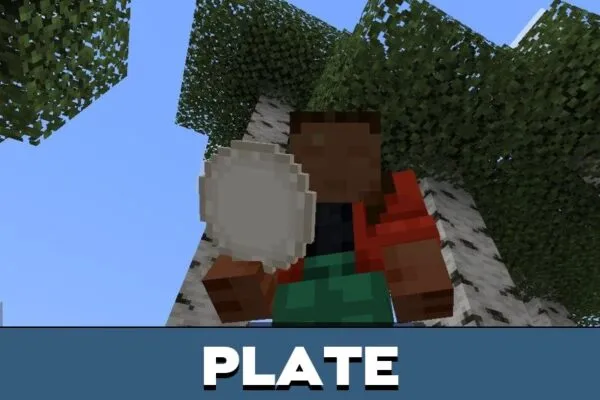 Plate from Placeable Items Mod for Minecraft PE