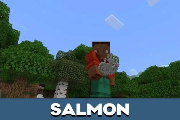 Salmon from Essence Foundry Mod for Minecraft PE