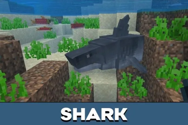 Shark from MBcreatures Mod for Minecraft PE