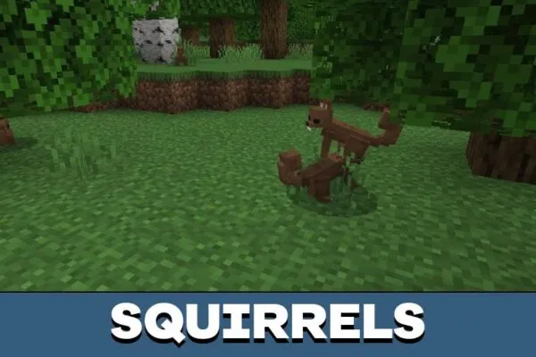 Squirrels from Forest Mobs Mod for Minecraft PE