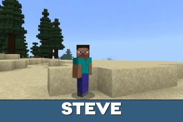 Steve from Dynamic Animations Texture Pack for Minecraft PE