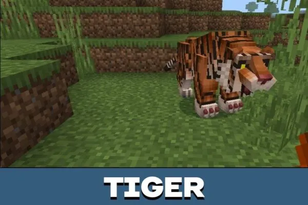 Tiger from MBcreatures Mod for Minecraft PE