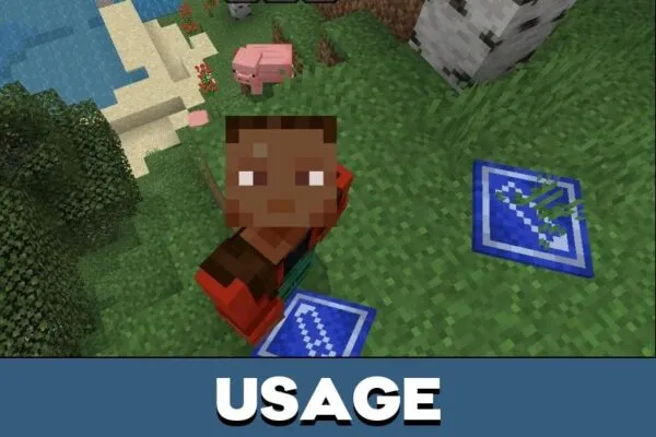 Usage from Placeable Items Mod for Minecraft PE