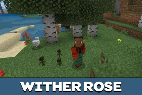 Wither Rose from Placeable Items Mod for Minecraft PE