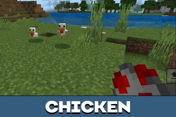 Chicken from Baby Mobs Texture Pack for Minecraft PE