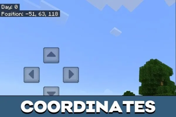 Coordinates from Day Counter Mod for Minecraft PE