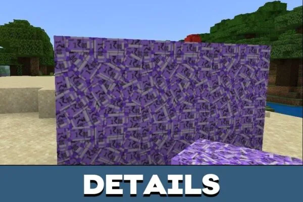 Details from Indian Money Mod for Minecraft PE