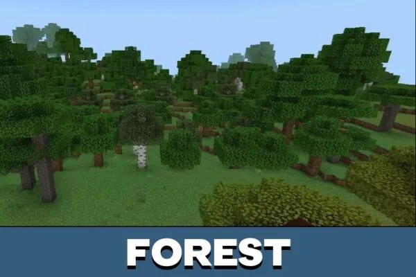 Forest from Solitude Shader for Minecraft PE