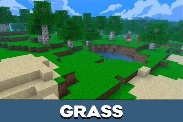 Grass from Bumbli Graphics Texture Pack for Minecraft PE